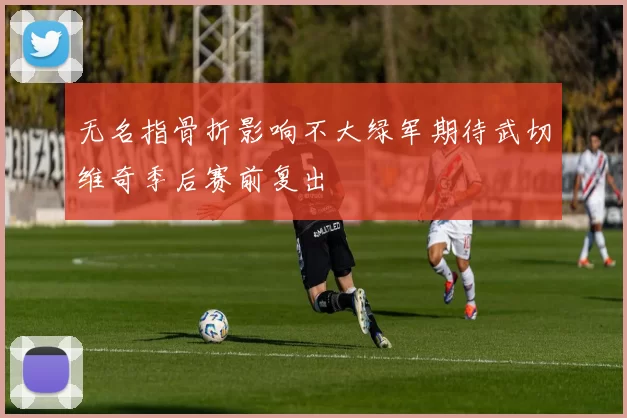 无名指骨折影响不大绿军期待武切维奇季后赛前复出